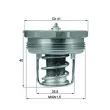 Thermostat d'eau MAHLE TX 89 83 - Visuel 1