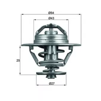 Thermostat d'eau MAHLE TX 93 74D