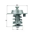 Thermostat d'eau MAHLE TX 95 83D - Visuel 1