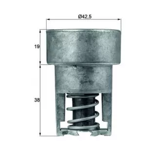 Thermostat d'eau MAHLE TX 98 82