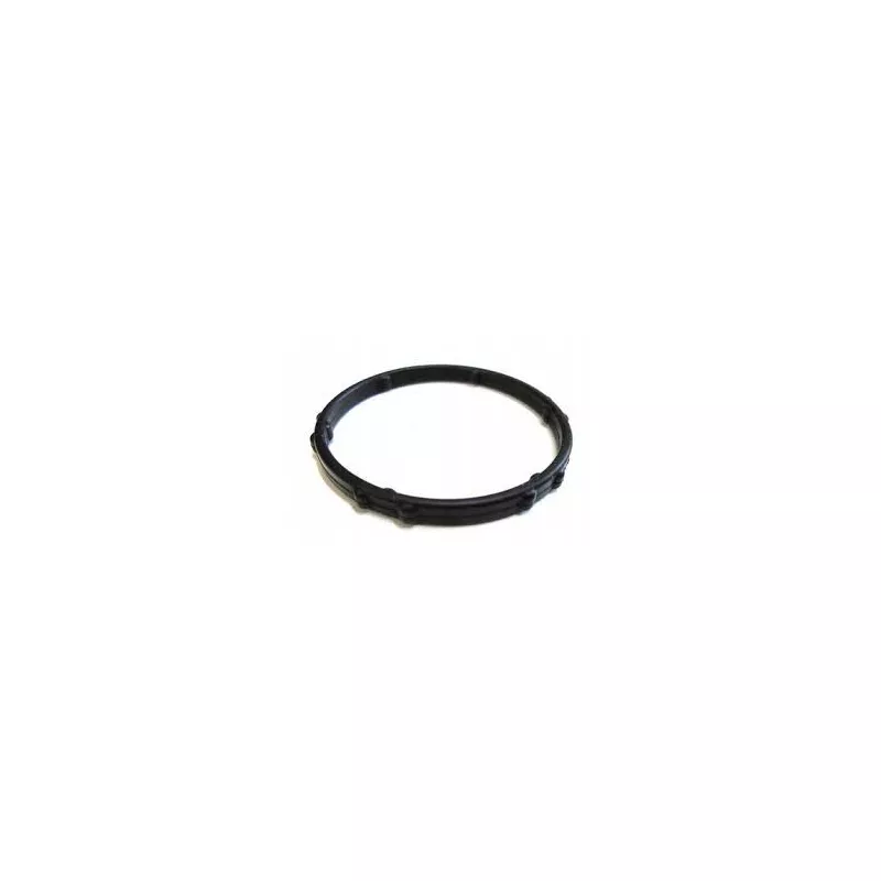 Joint, Bride de liquide de refroidissement OE 110625423R