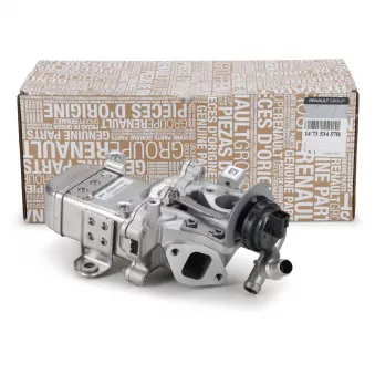 Module-EGR OE 147353457R