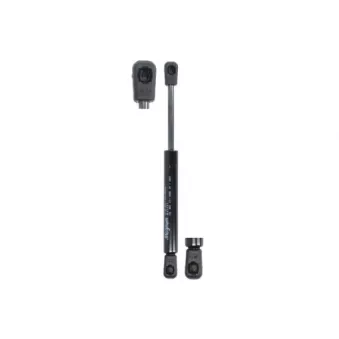 Ressort pneumatique, porte MAGNUM TECHNOLOGY MGS101