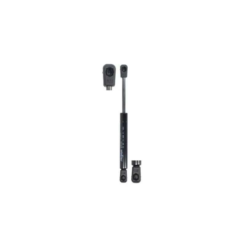 Ressort pneumatique, porte MAGNUM TECHNOLOGY MGS101