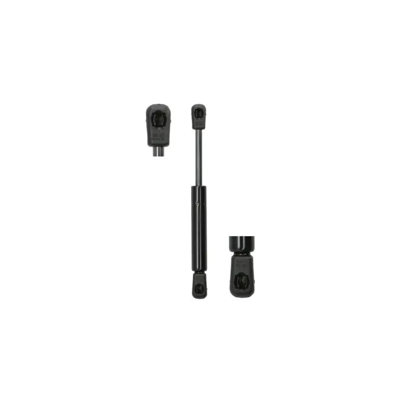 Ressort pneumatique, porte MAGNUM TECHNOLOGY MGS106