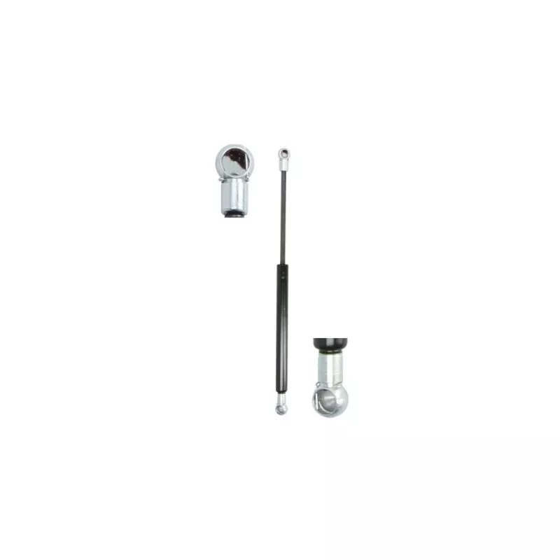 Ressort pneumatique, porte MAGNUM TECHNOLOGY MGS107