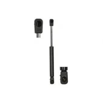 Ressort pneumatique, porte MAGNUM TECHNOLOGY MGS140