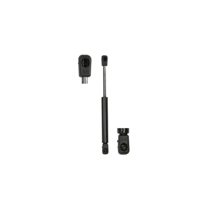 Ressort pneumatique, porte MAGNUM TECHNOLOGY MGS140