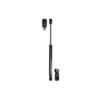 Ressort pneumatique, porte MAGNUM TECHNOLOGY MGS149