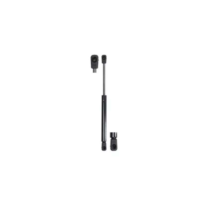 Ressort pneumatique, porte MAGNUM TECHNOLOGY MGS149