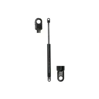 Ressort pneumatique, porte MAGNUM TECHNOLOGY MGS153