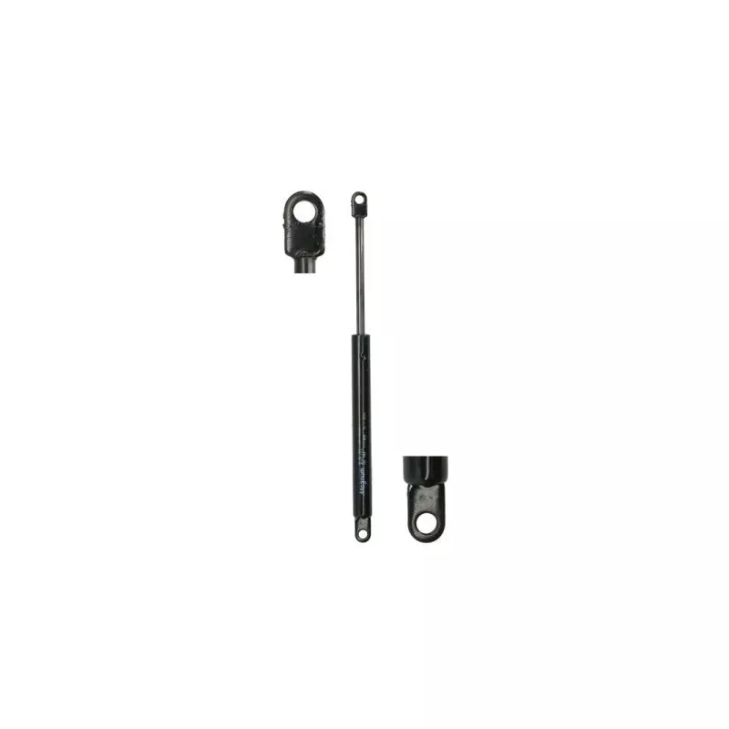 Ressort pneumatique, porte MAGNUM TECHNOLOGY MGS153