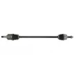 Arbre de transmission avant droit PASCAL G2F014PC - Visuel 1