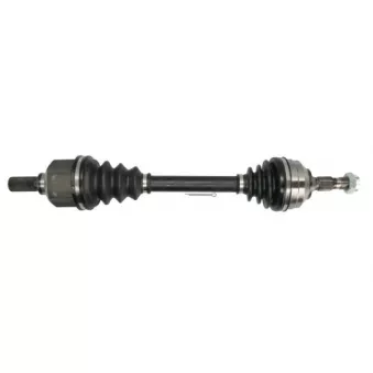 Arbre de transmission avant droit PASCAL G2P062PC