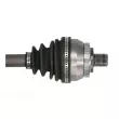 Arbre de transmission avant droit PASCAL G2W034PC - Visuel 2