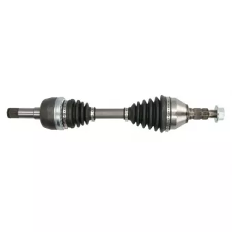 Arbre de transmission PASCAL G2X032PC