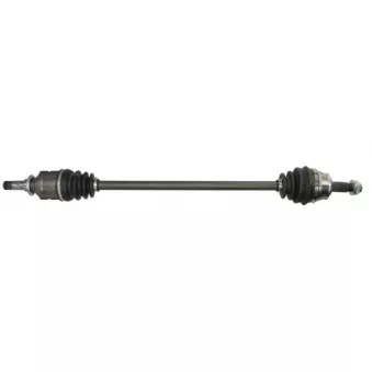 Arbre de transmission avant droit PASCAL G2X036PC
