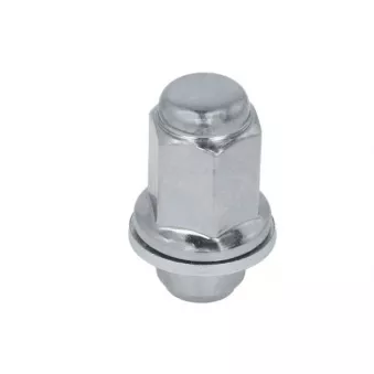Écrou de roue BTA H60022BTA
