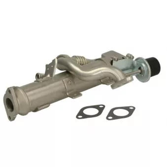 Module-EGR ENGITECH ENT520036