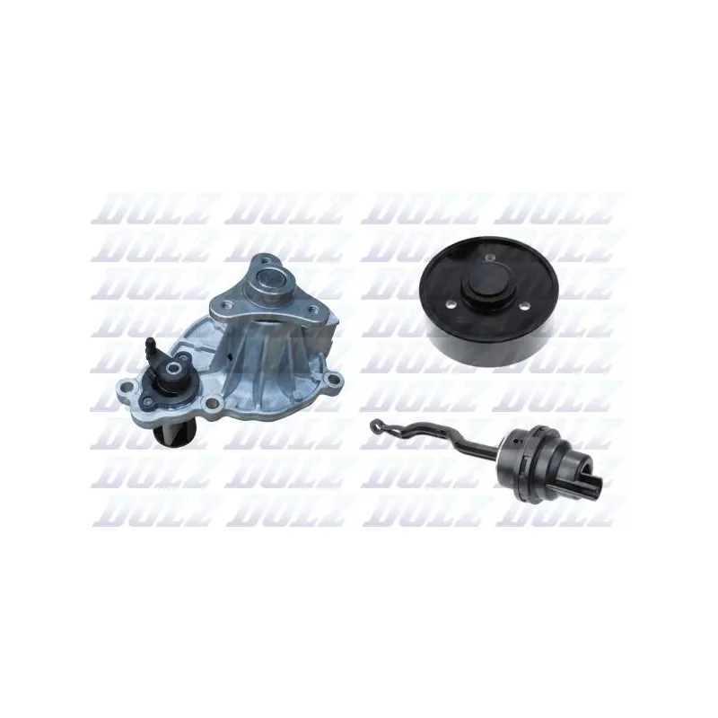 Pompe à eau, refroidissement du moteur DOLZ B268V