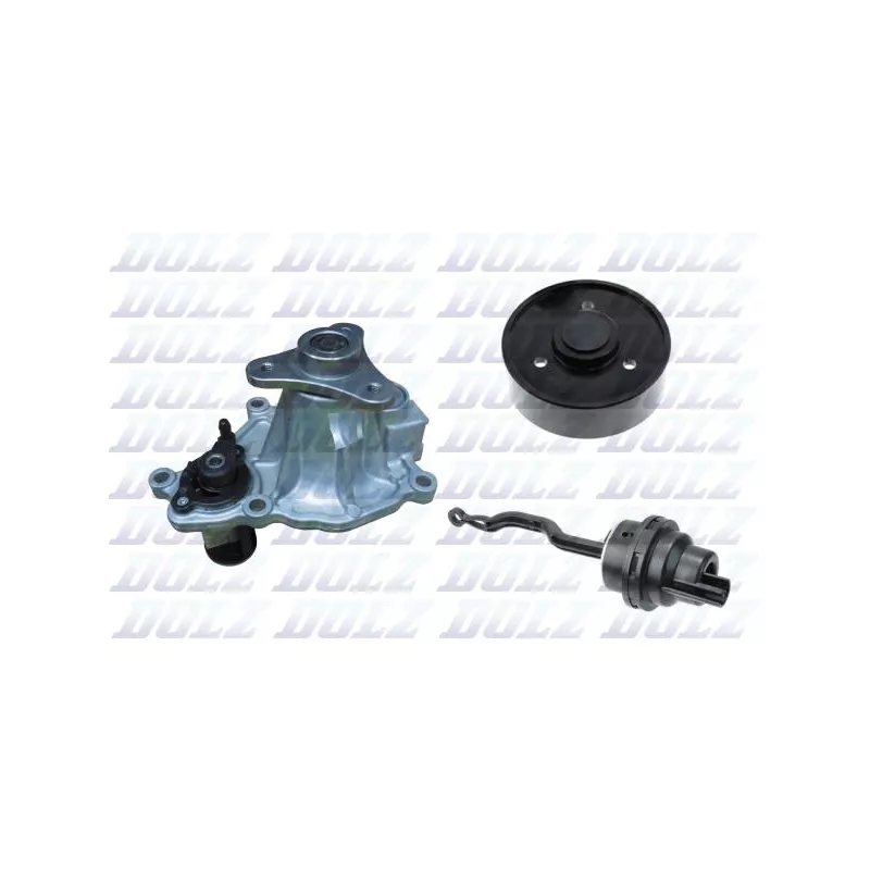 Pompe à eau, refroidissement du moteur DOLZ B269V