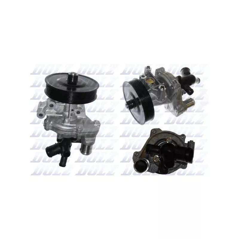 Pompe à eau, refroidissement du moteur DOLZ F211CT