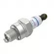 Bougie d'allumage BOSCH 0 242 045 506 - Visuel 1