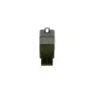 Appareil de commande, temps de préchauffage BOSCH 0 281 003 024 - Visuel 3