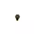 Capteur BOSCH 0 281 006 119 - Visuel 2