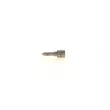 Buse/Gicleur/Injecteur BOSCH 0 433 171 983 - Visuel 1