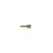 Buse/Gicleur/Injecteur BOSCH 0 433 171 989 - Visuel 1