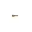 Buse/Gicleur/Injecteur BOSCH 0 433 171 989 - Visuel 3