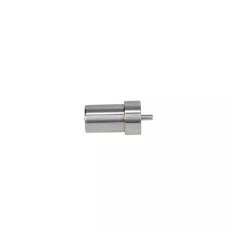 Buse d'injecteur BOSCH 0 434 250 072