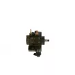 Pompe à haute pression BOSCH 0 445 010 234 - Visuel 2