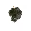 Pompe à haute pression BOSCH 0 445 010 314 - Visuel 2