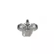 Pompe à haute pression BOSCH 0 445 010 810 - Visuel 3