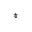 Régulateur, quantité de carburant (système à rampe commune) BOSCH 0 928 400 802 - Visuel 3