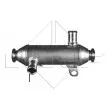 Radiateur, réaspiration des gaz d'échappement NRF 48007 - Visuel 1