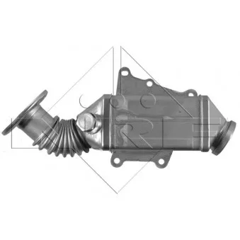 Radiateur, réaspiration des gaz d'échappement NRF