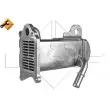 Radiateur, réaspiration des gaz d'échappement NRF 48120 - Visuel 1