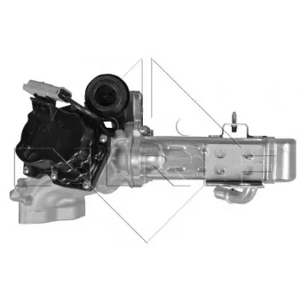 Module-EGR NRF 48203