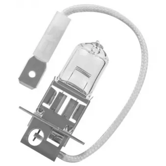 Ampoule, projecteur antibrouillard SCT GERMANY 202723