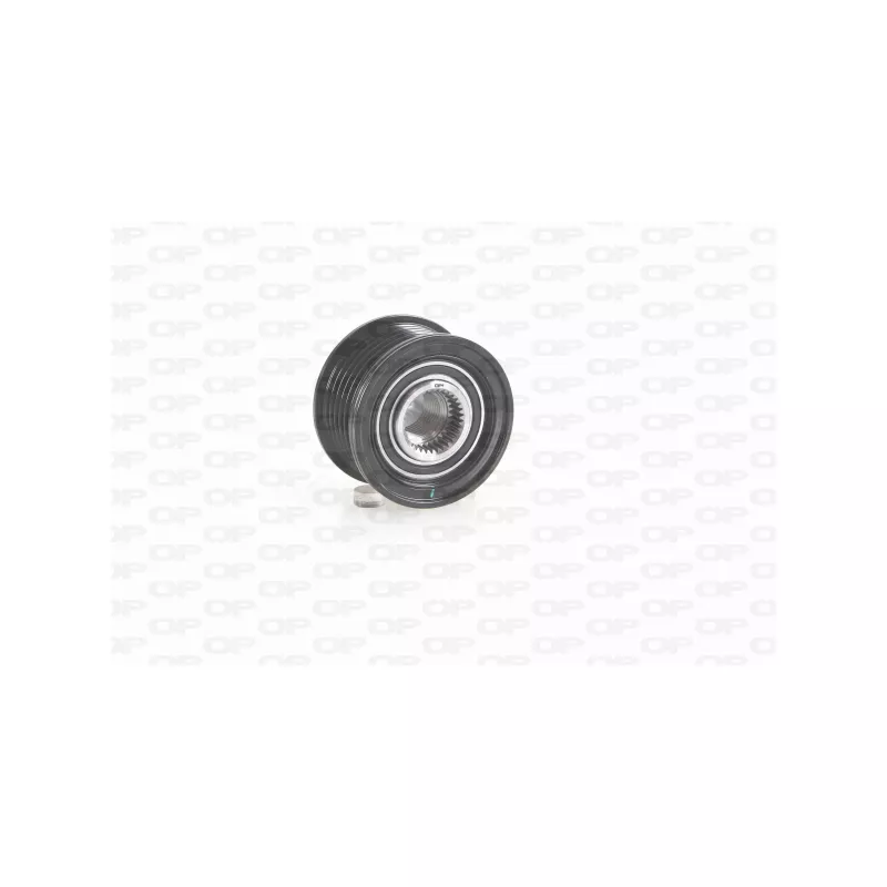 Poulie roue libre, alternateur OPEN PARTS ACA3030.00