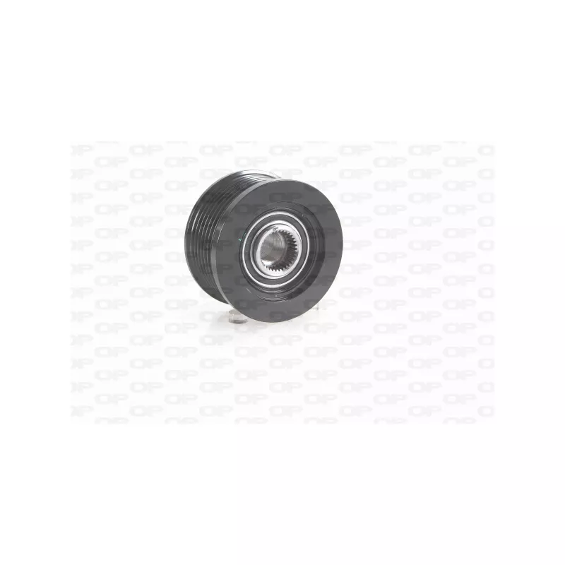 Poulie roue libre, alternateur OPEN PARTS ACA3031.00