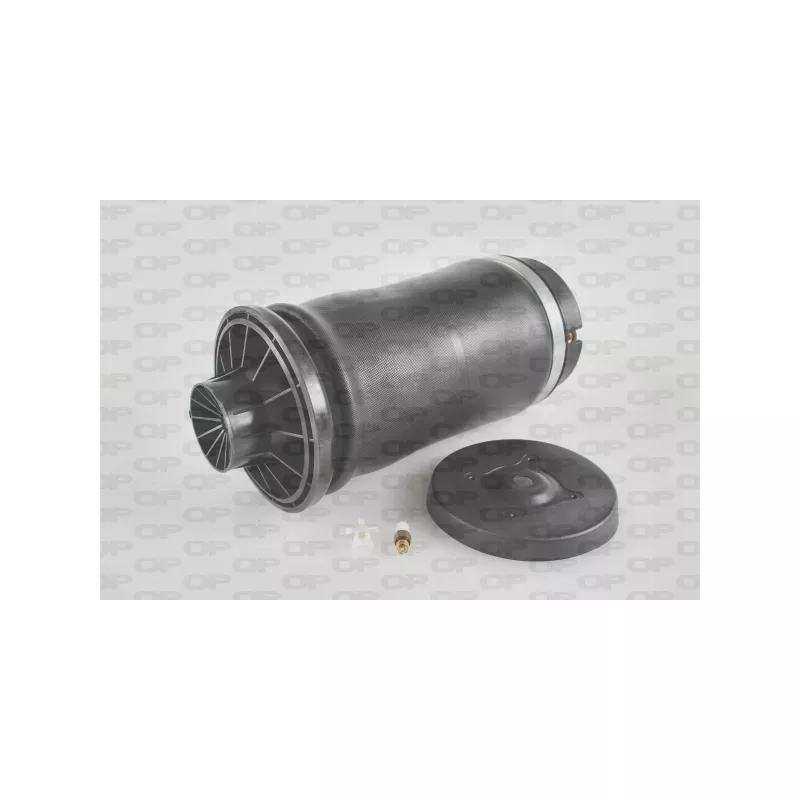 Ressort pneumatique, châssis OPEN PARTS ASP4004.00