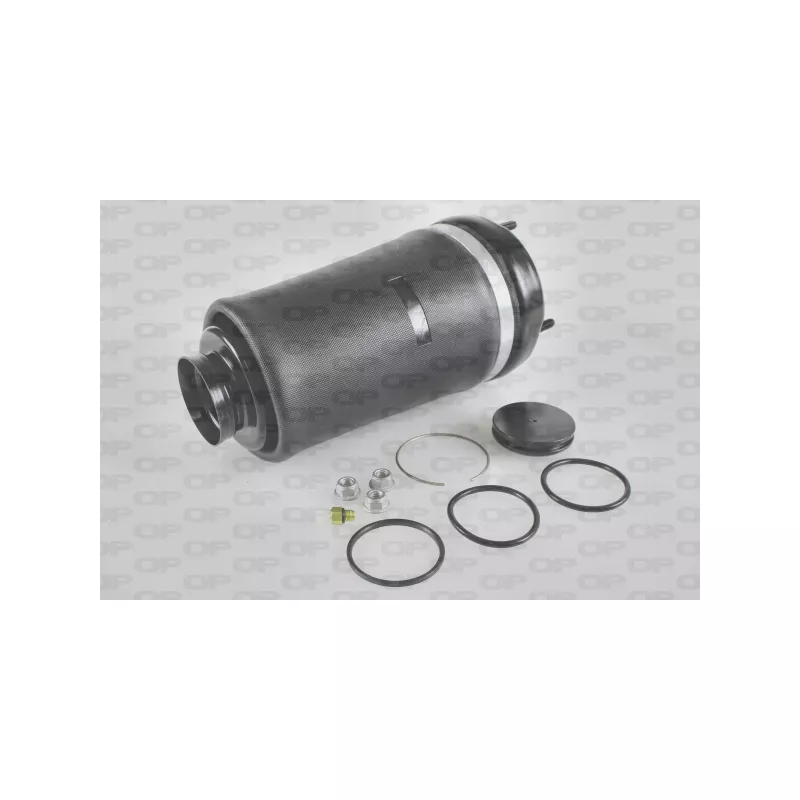 Ressort pneumatique, châssis OPEN PARTS ASP4007.00