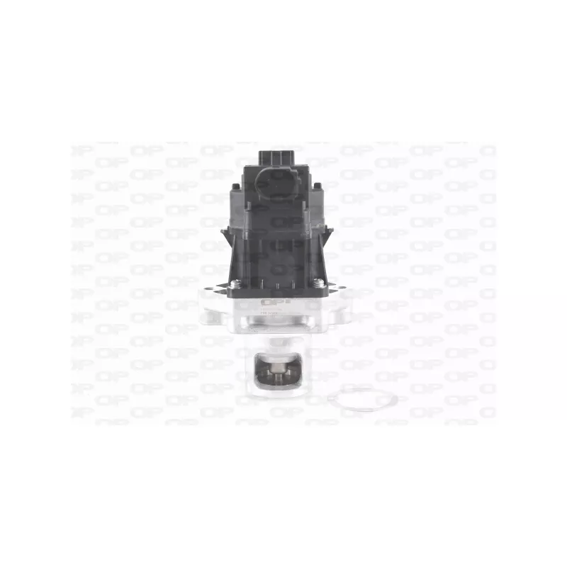 Vanne EGR OPEN PARTS EGR3001.00