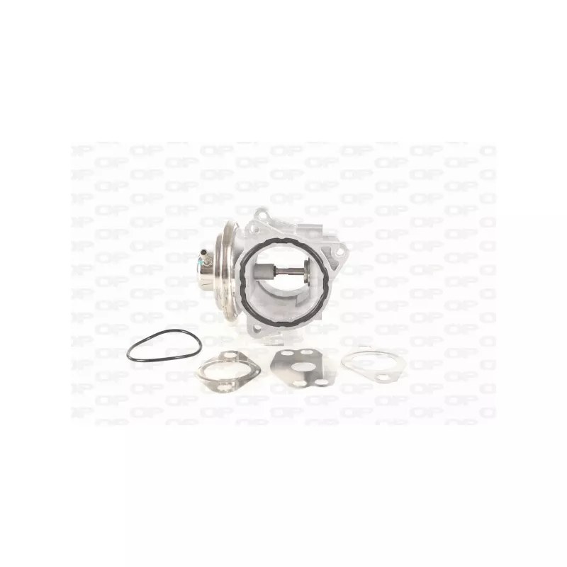 Vanne EGR OPEN PARTS EGR3002.00