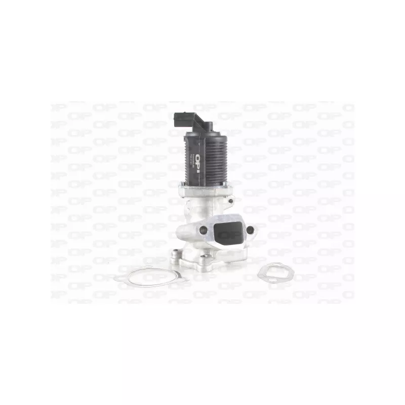 Vanne EGR OPEN PARTS EGR3003.00