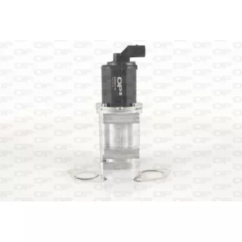 Vanne EGR OPEN PARTS